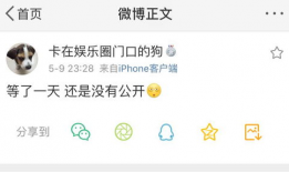 更多后续吃瓜爆料资讯,最新吃瓜爆料，幕后真相大曝光！